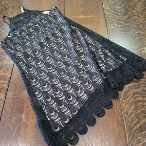 Rich & Beautiful black and nude scalloped lace sleeveless dress.